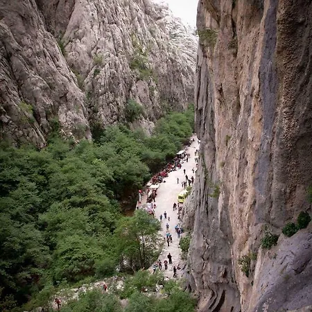 Goga Daire Starigrad Paklenica