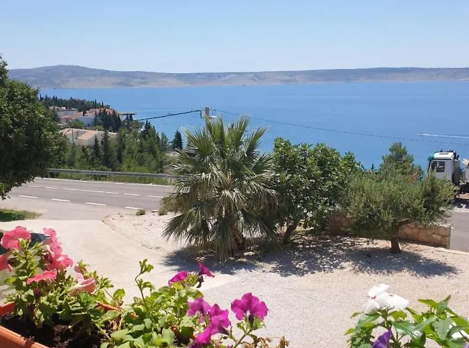 Goga * סטאריגרד-פקלניצה