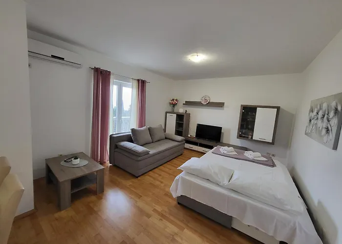 Goga * סטאריגרד-פקלניצה